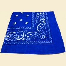 Blue Patterned Snuff Handkerchief sh010