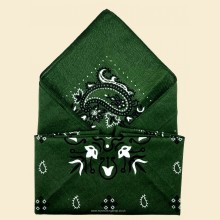 Green Patterned Snuff Handkerchief 9251
