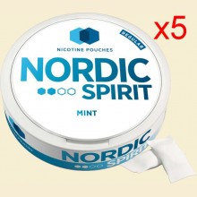 Nordic Spirit Mint Tobacco-Free Nicotine Pouches 6mg 5 x 13g Packs