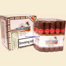 Quintero Favoritos Boxed Bundle of 25 Cuban Cigars