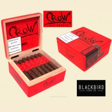 Blackbird Crow San Andres Robusto Box of 21 Dominican Cigars